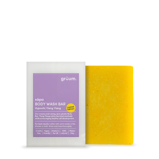 Body wash bar and packaging